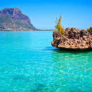 Dolphin Watch Nuotare con i Delfini Mauritius