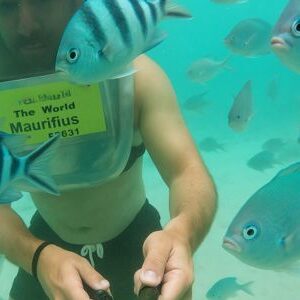 underwater sea walk
